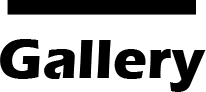 Gallery 攝影作品